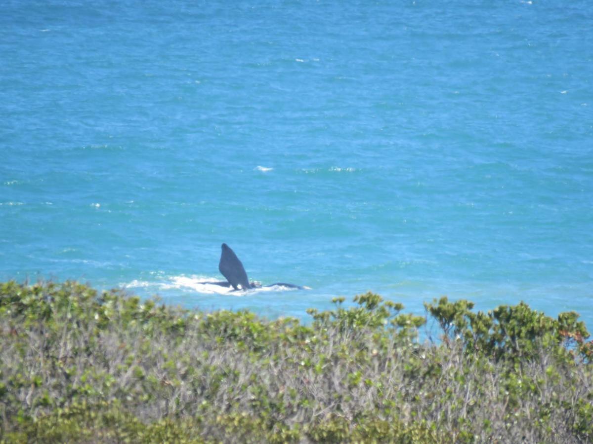 Troon Beach Cottage Hermanus Bagian luar foto