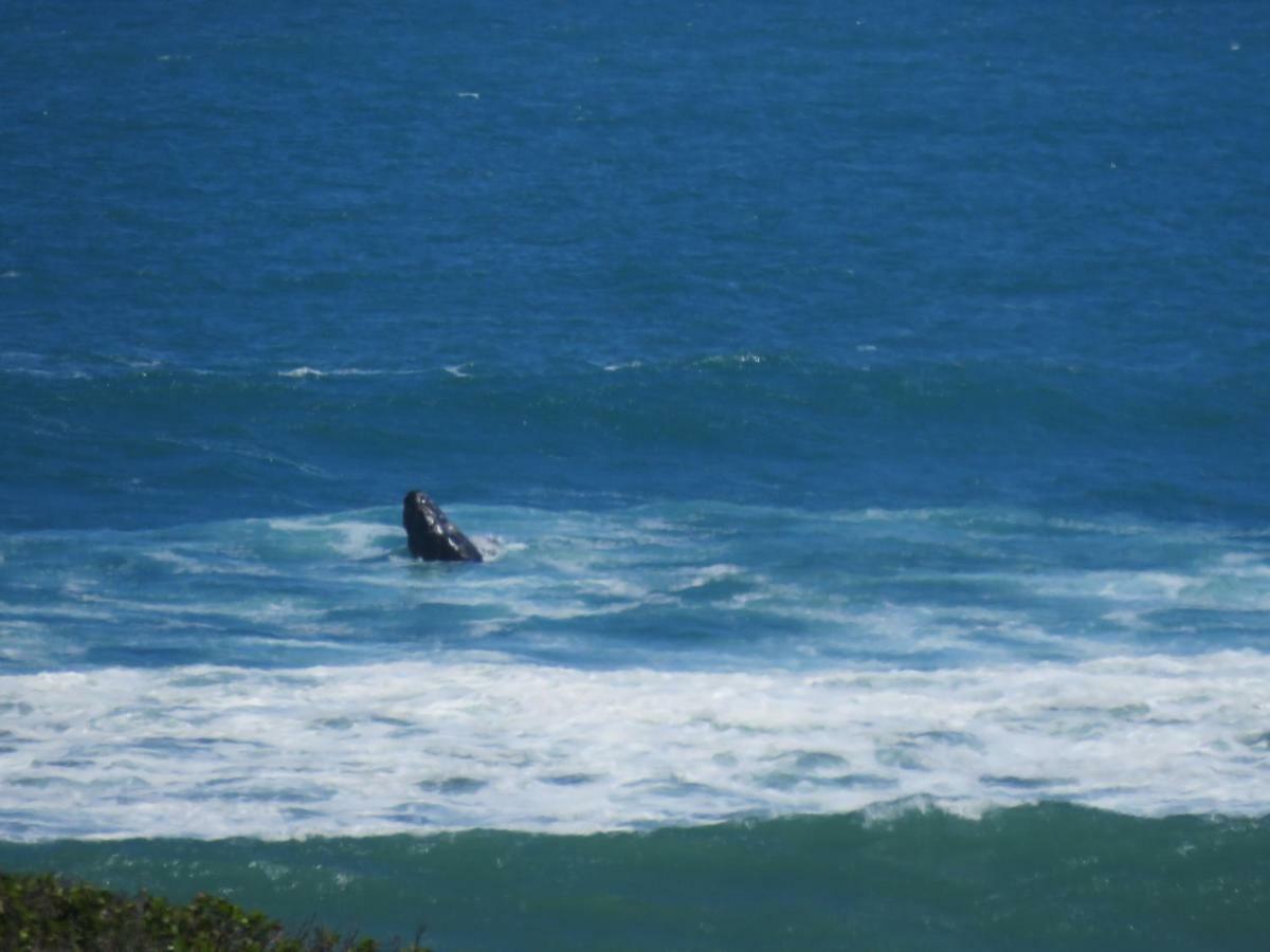 Troon Beach Cottage Hermanus Bagian luar foto