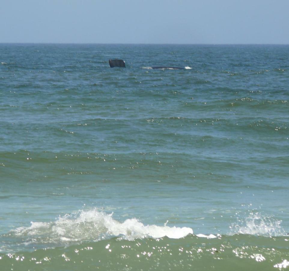 Troon Beach Cottage Hermanus Bagian luar foto