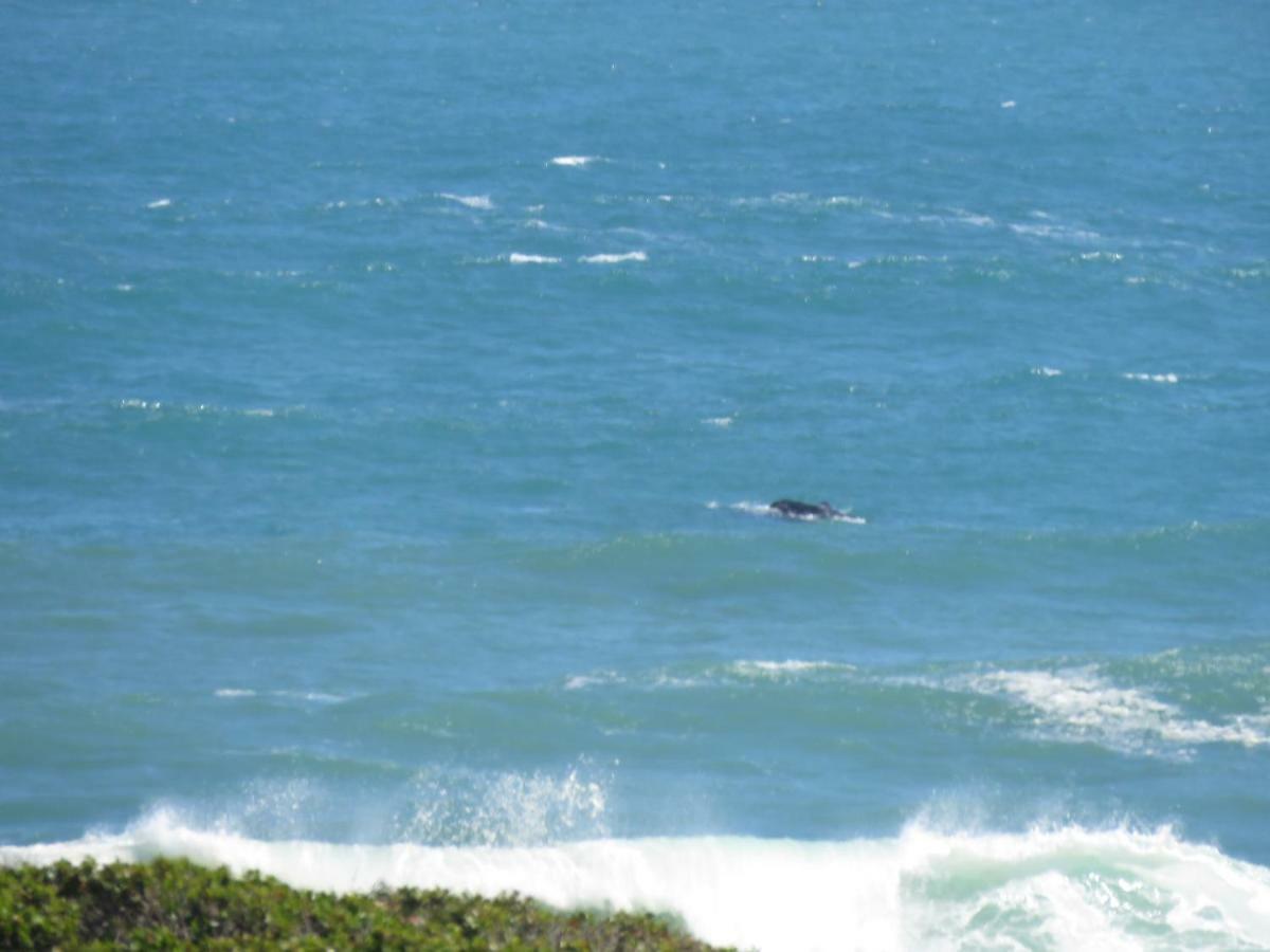 Troon Beach Cottage Hermanus Bagian luar foto