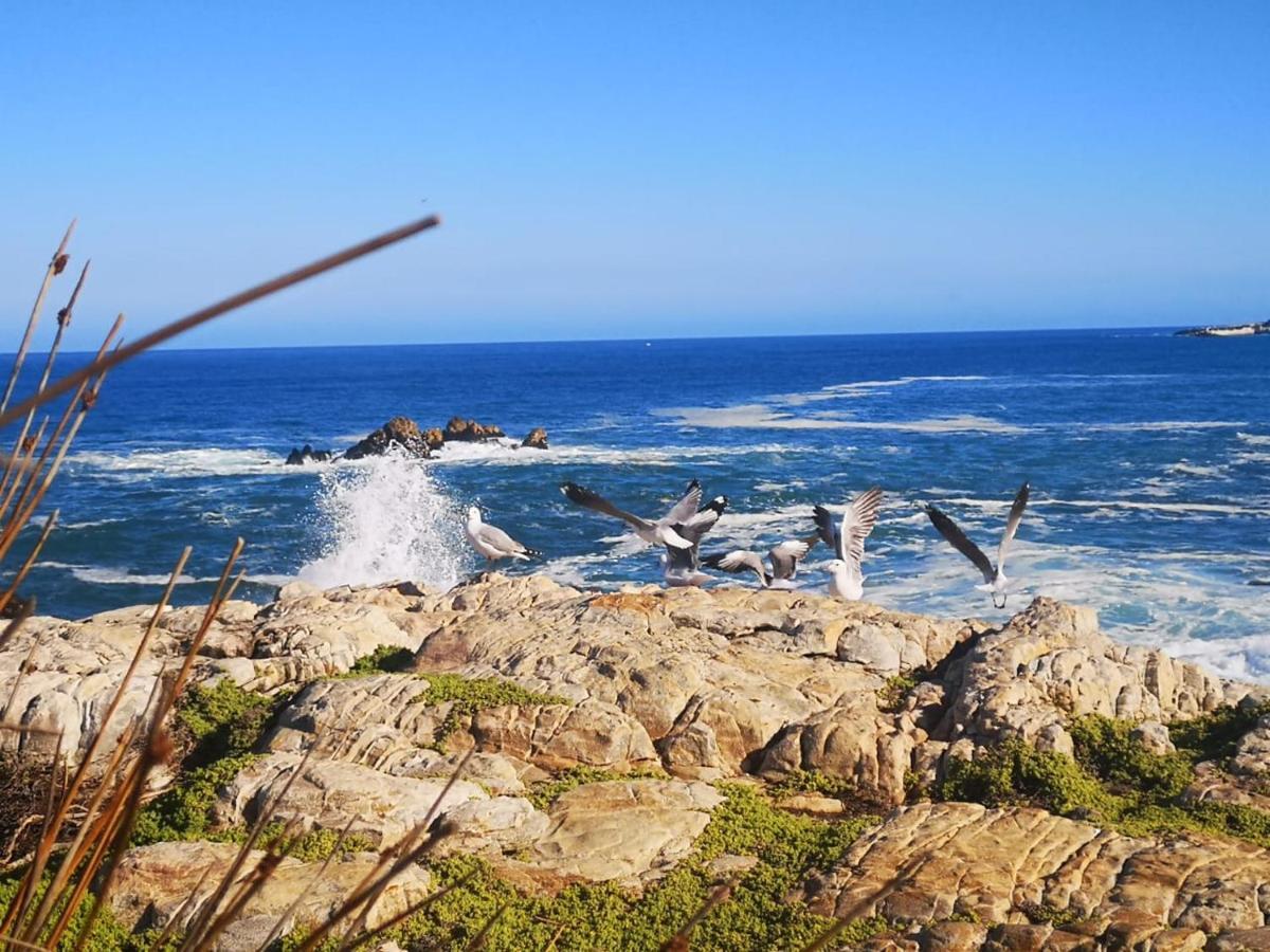 Troon Beach Cottage Hermanus Bagian luar foto